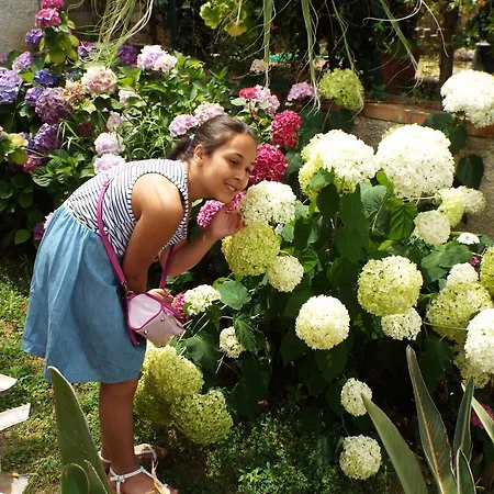 Domus Tiberio * Pizzo (Calabria)