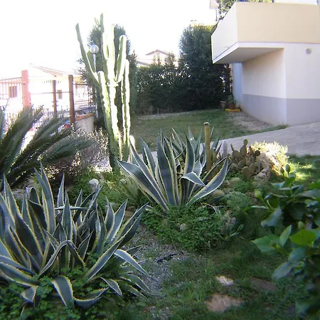 Bed & Breakfast Domus Tiberio *