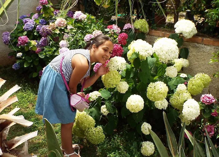 多莫斯蒂贝里奥住宿加早餐旅馆 * 皮佐